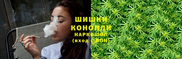 PSILOCYBIN Беломорск